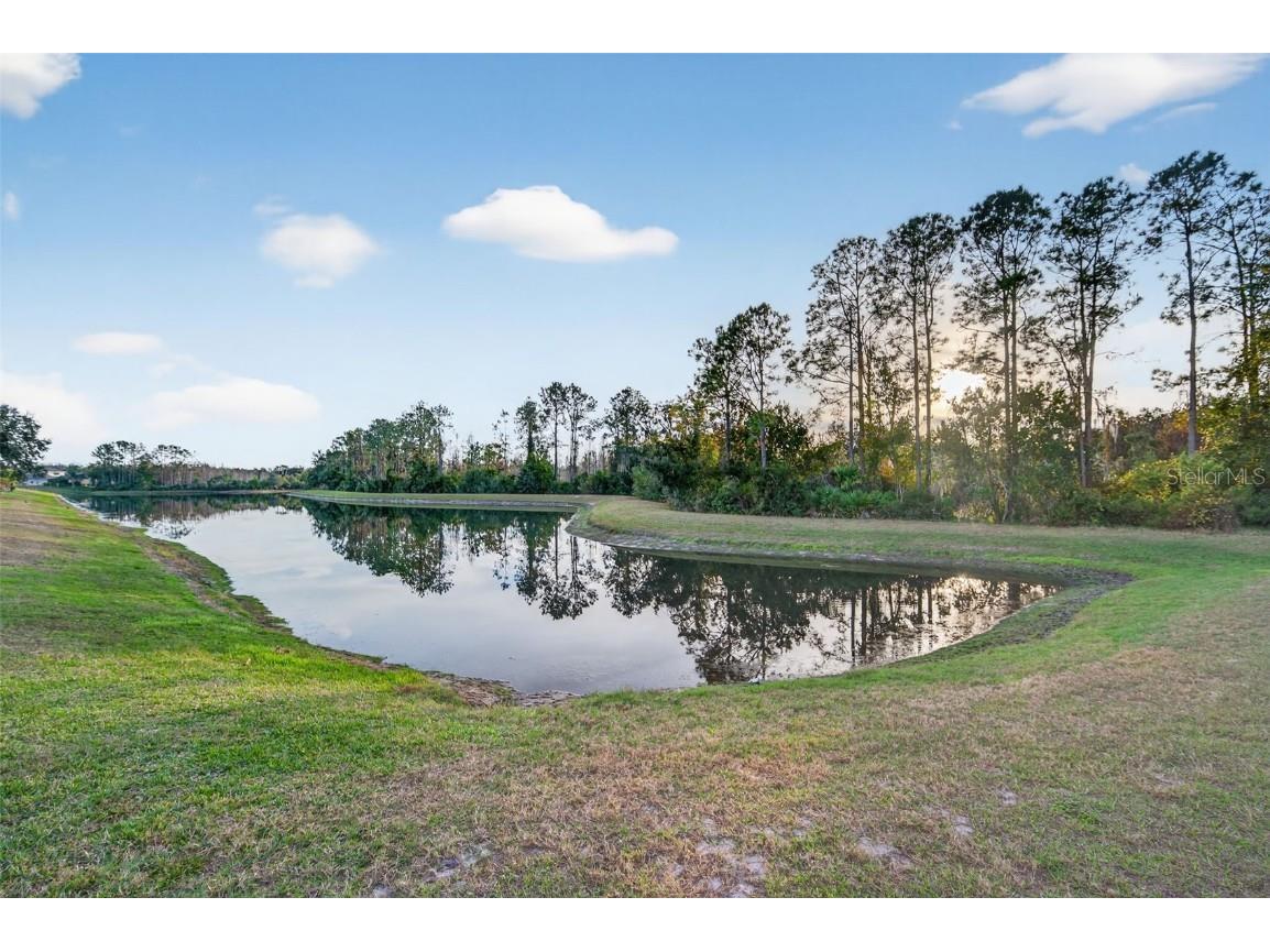 11238 Biddeford Place New Port Richey FL 34654 - WEST MOON LAKE W7881588 image62