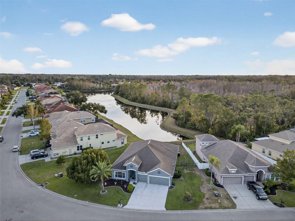 11238 Biddeford Place New Port Richey FL 34654 - WEST MOON LAKE W7881588 image67