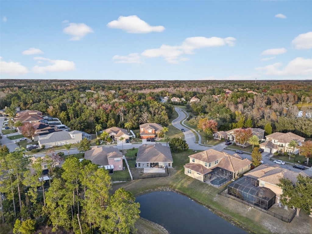 11238 Biddeford Place New Port Richey FL 34654 - WEST MOON LAKE W7881588 image70