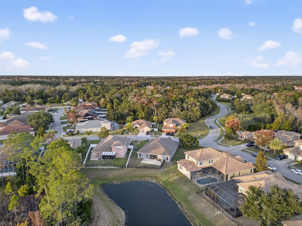 11238 Biddeford Place New Port Richey FL 34654 - WEST MOON LAKE W7881588 image71