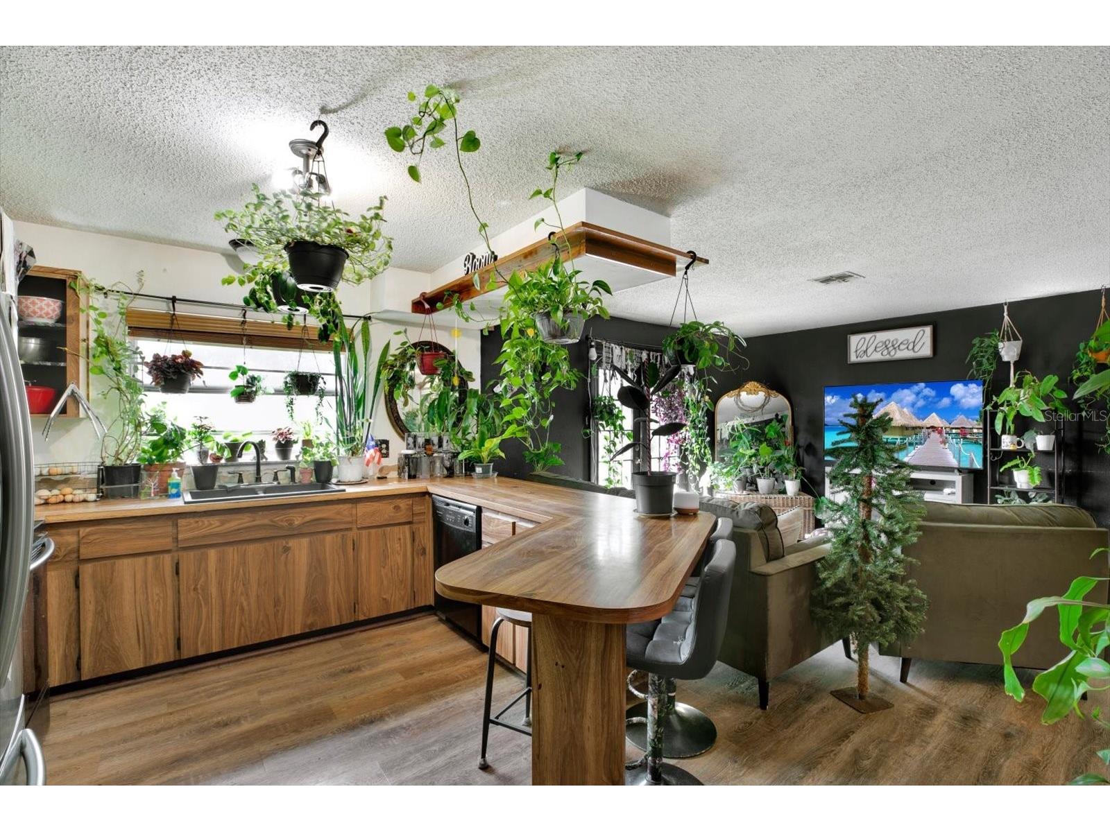 11238 Holbrook Street Spring Hill FL 34609 W7887499 image8