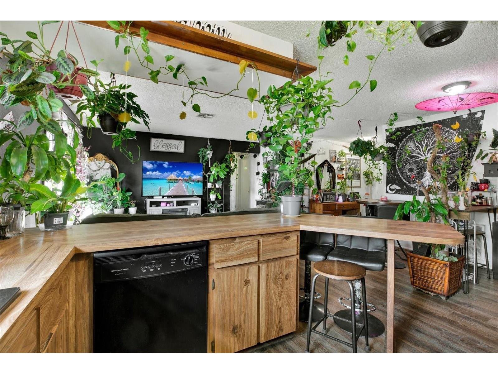 11238 Holbrook Street Spring Hill FL 34609 W7887499 image9