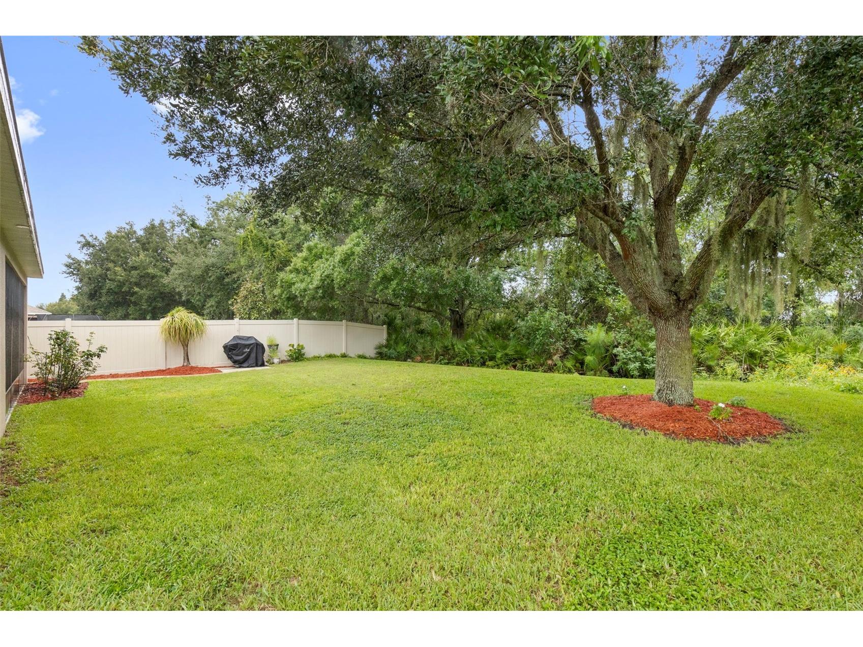 11238 Wembley Landing Drive Lithia FL 33547 TB8529350 image21