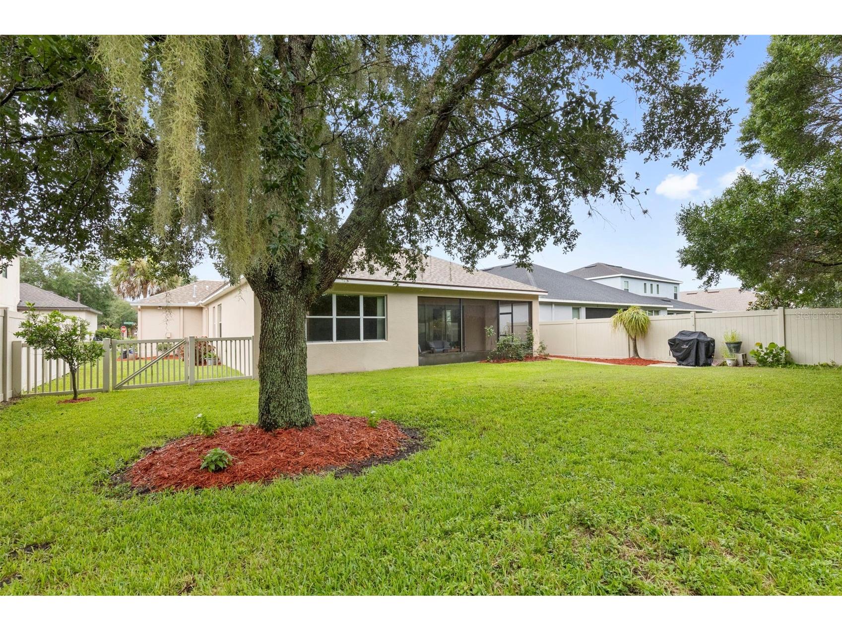 11238 Wembley Landing Drive Lithia FL 33547 TB8529350 image23