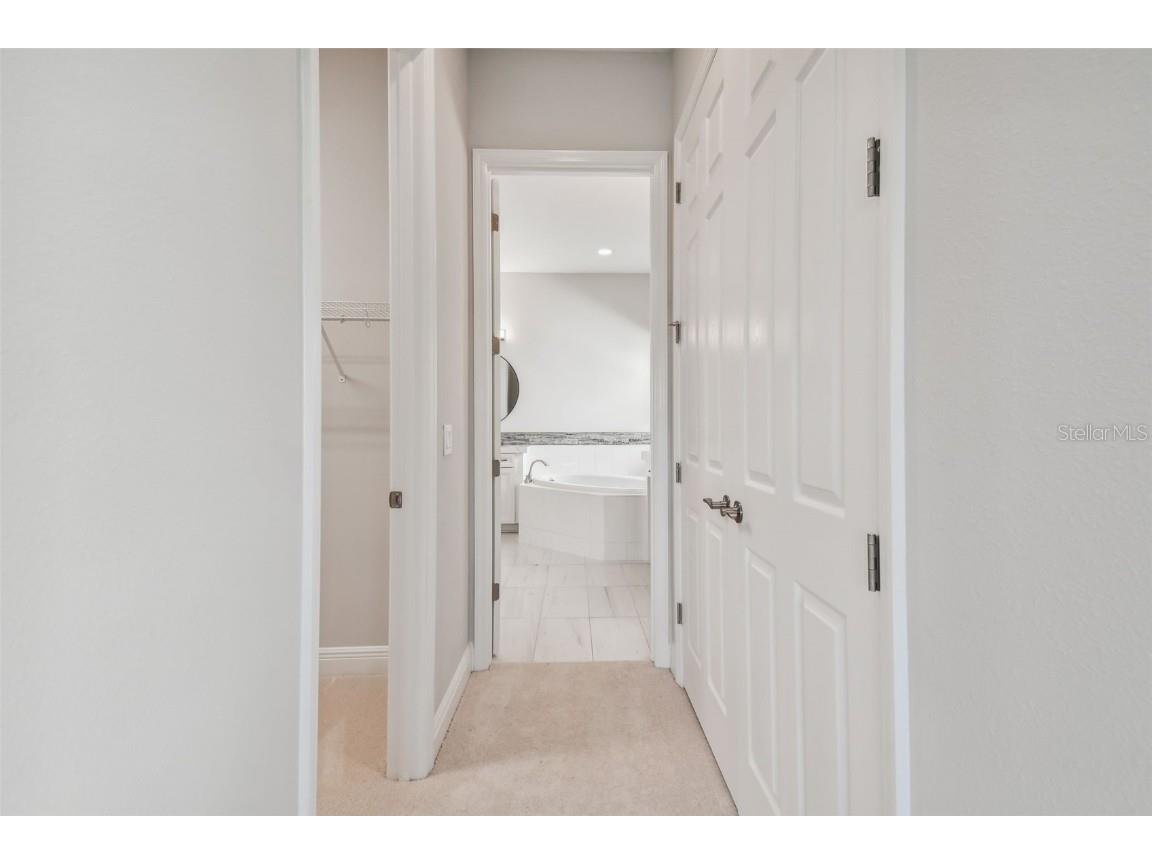 11239 Rustic Timber Loop San Antonio FL 33576 TB8452747 image50