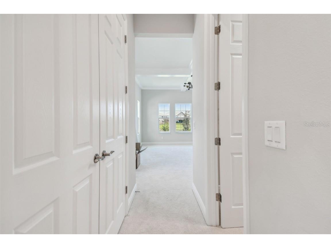 11239 Rustic Timber Loop San Antonio FL 33576 TB8452747 image51