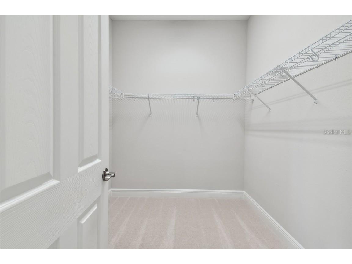 11239 Rustic Timber Loop San Antonio FL 33576 TB8452747 image52