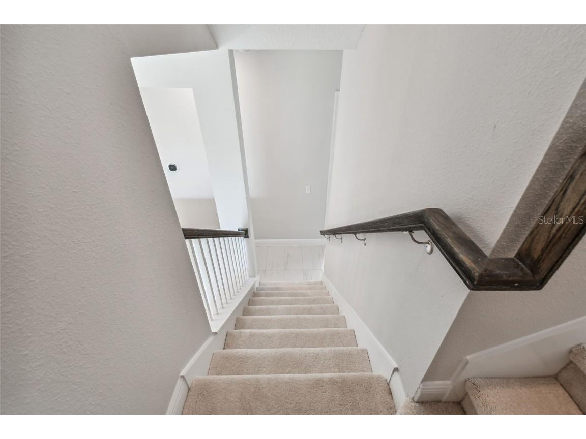 11239 Rustic Timber Loop San Antonio FL 33576 TB8452747 image60