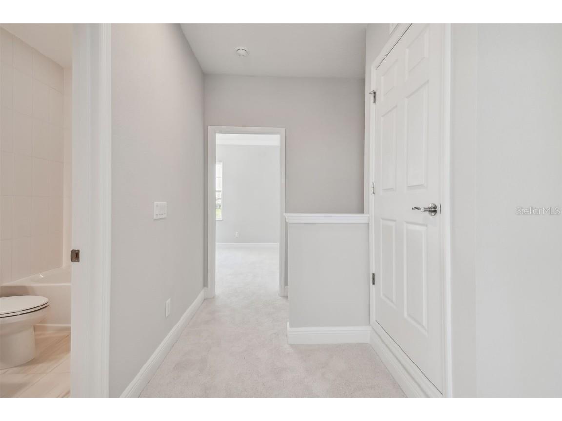 11239 Rustic Timber Loop San Antonio FL 33576 TB8452747 image61