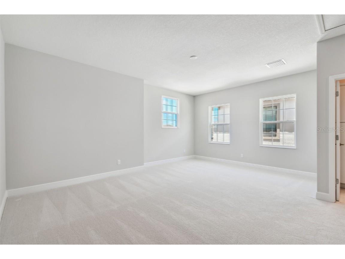 11239 Rustic Timber Loop San Antonio FL 33576 TB8452747 image63