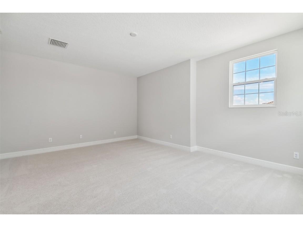 11239 Rustic Timber Loop San Antonio FL 33576 TB8452747 image66