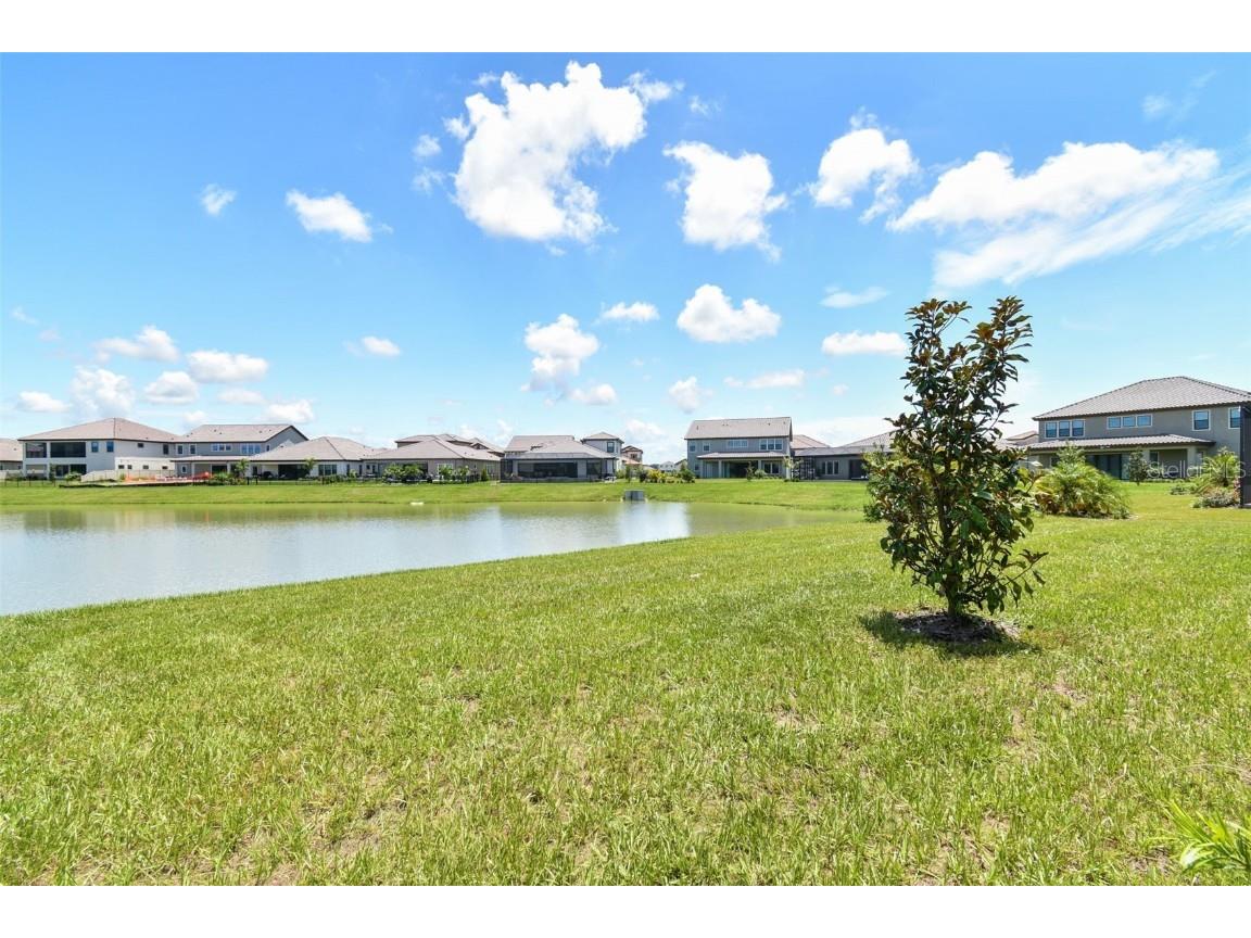 11239 Rustic Timber Loop San Antonio FL 33576 TB8452747 image78