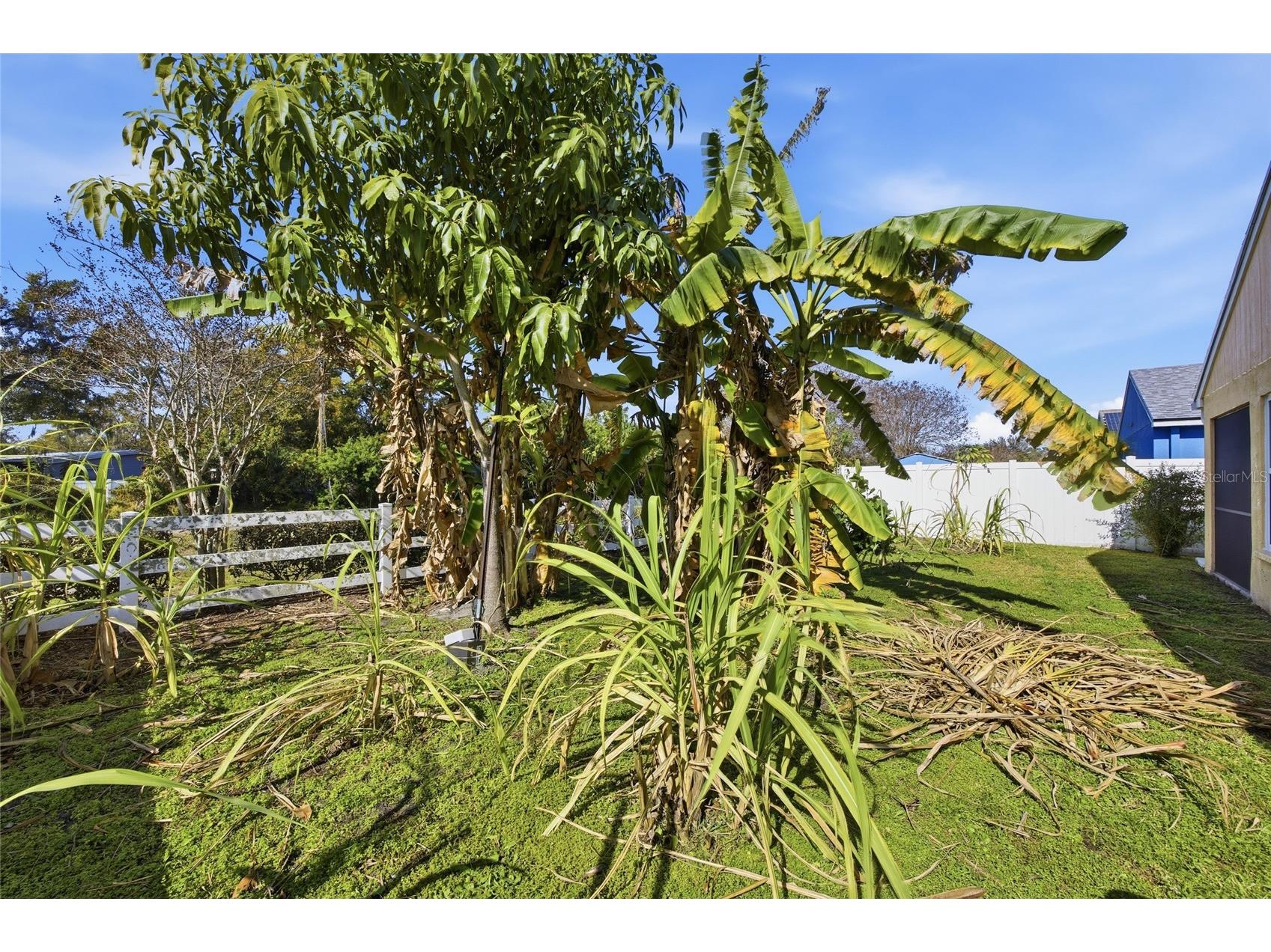 11239 Southwind Lake Drive Gibsonton FL 33534 TB8460900 image21