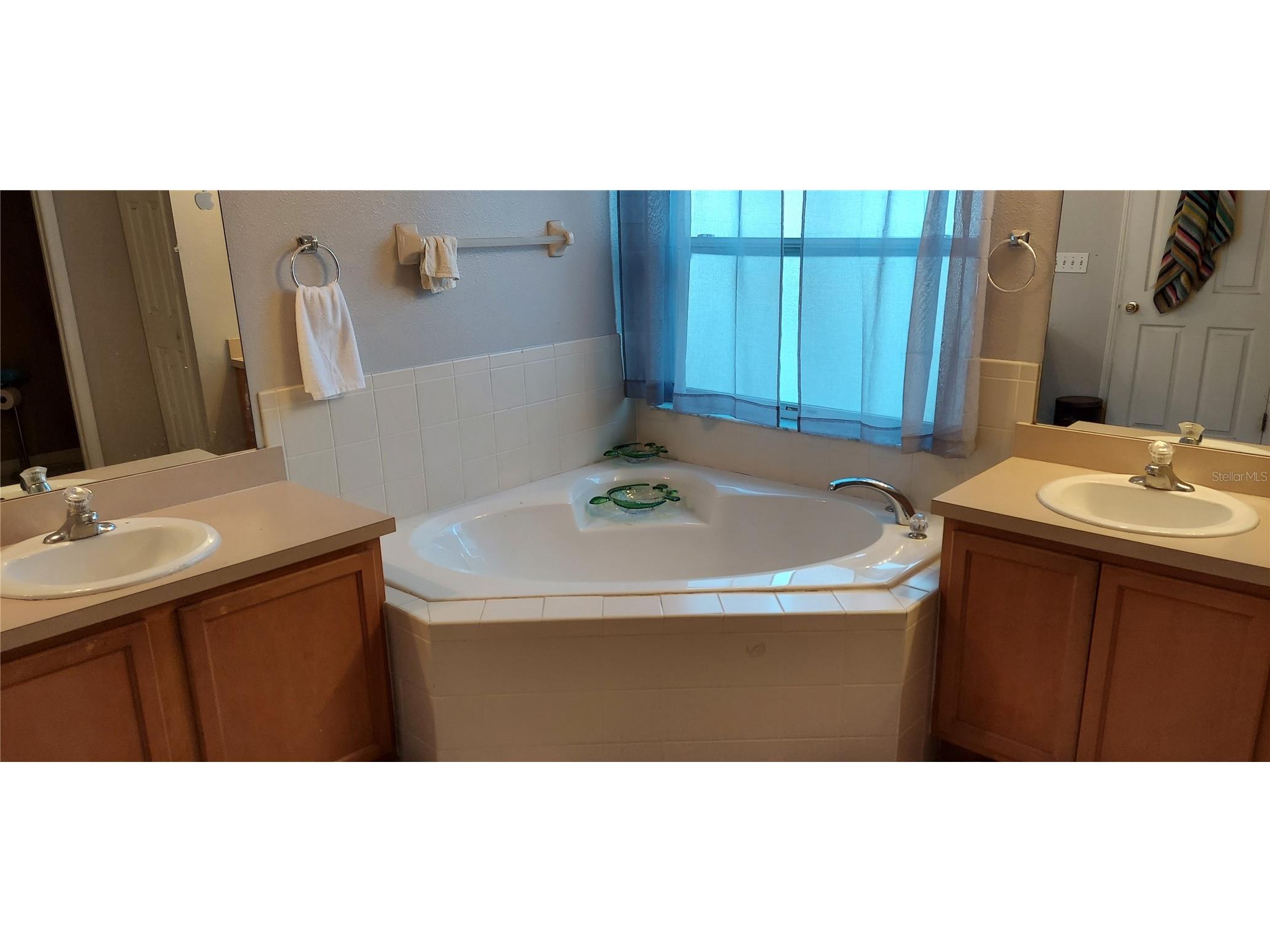 1124 Bluegrass Drive Groveland FL 34736 O6384215 image4