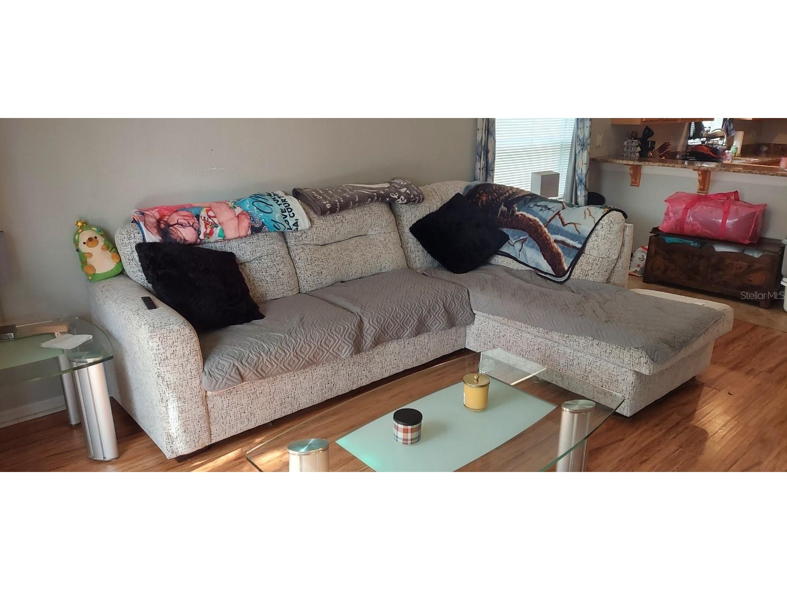 1124 Bluegrass Drive Groveland FL 34736 O6384215 image6