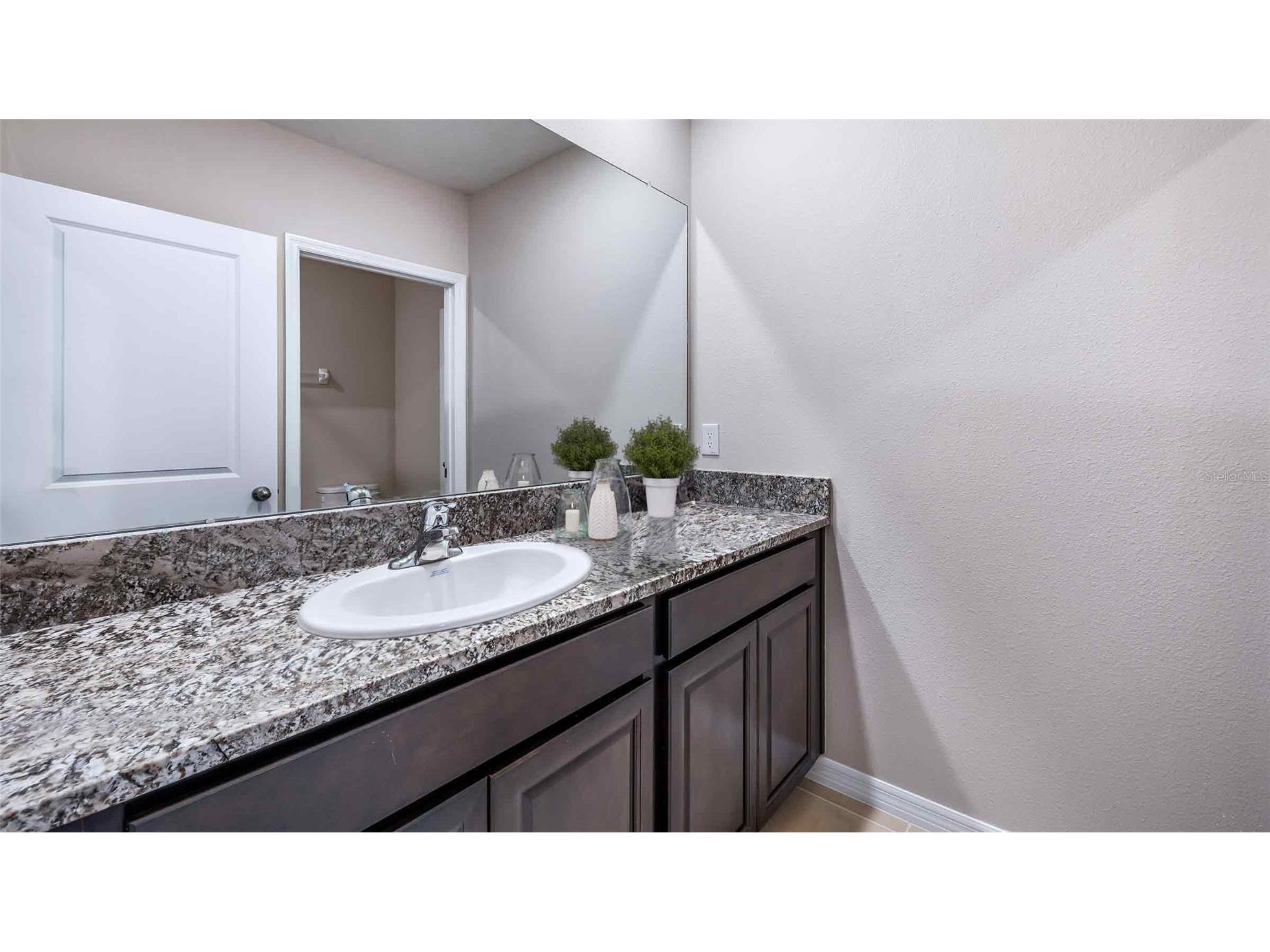 1124 Chasehill Lane Zephyrhills FL 33541 TB8499292 image14