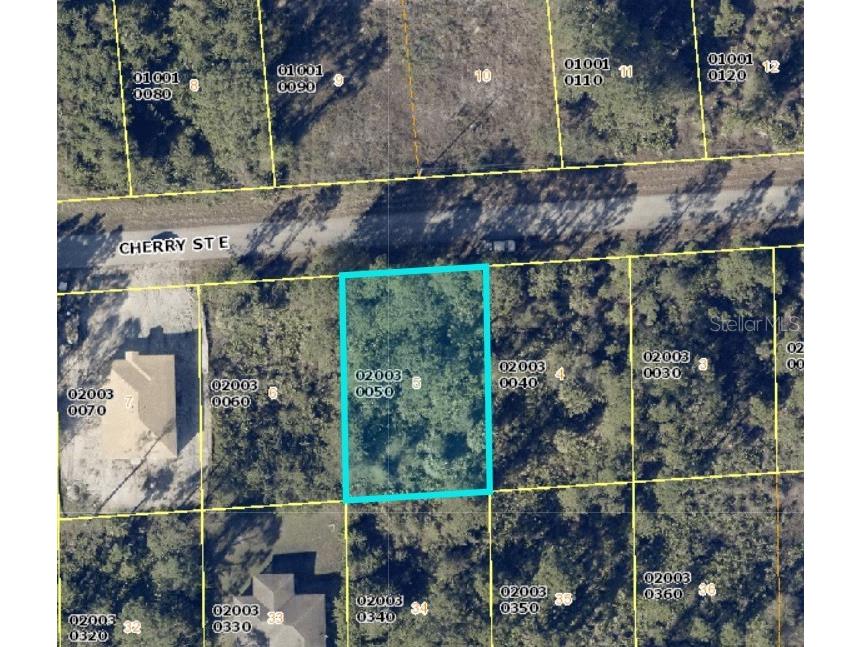 1124 Cherry Street E Lehigh Acres FL 33974 U8207227 image1