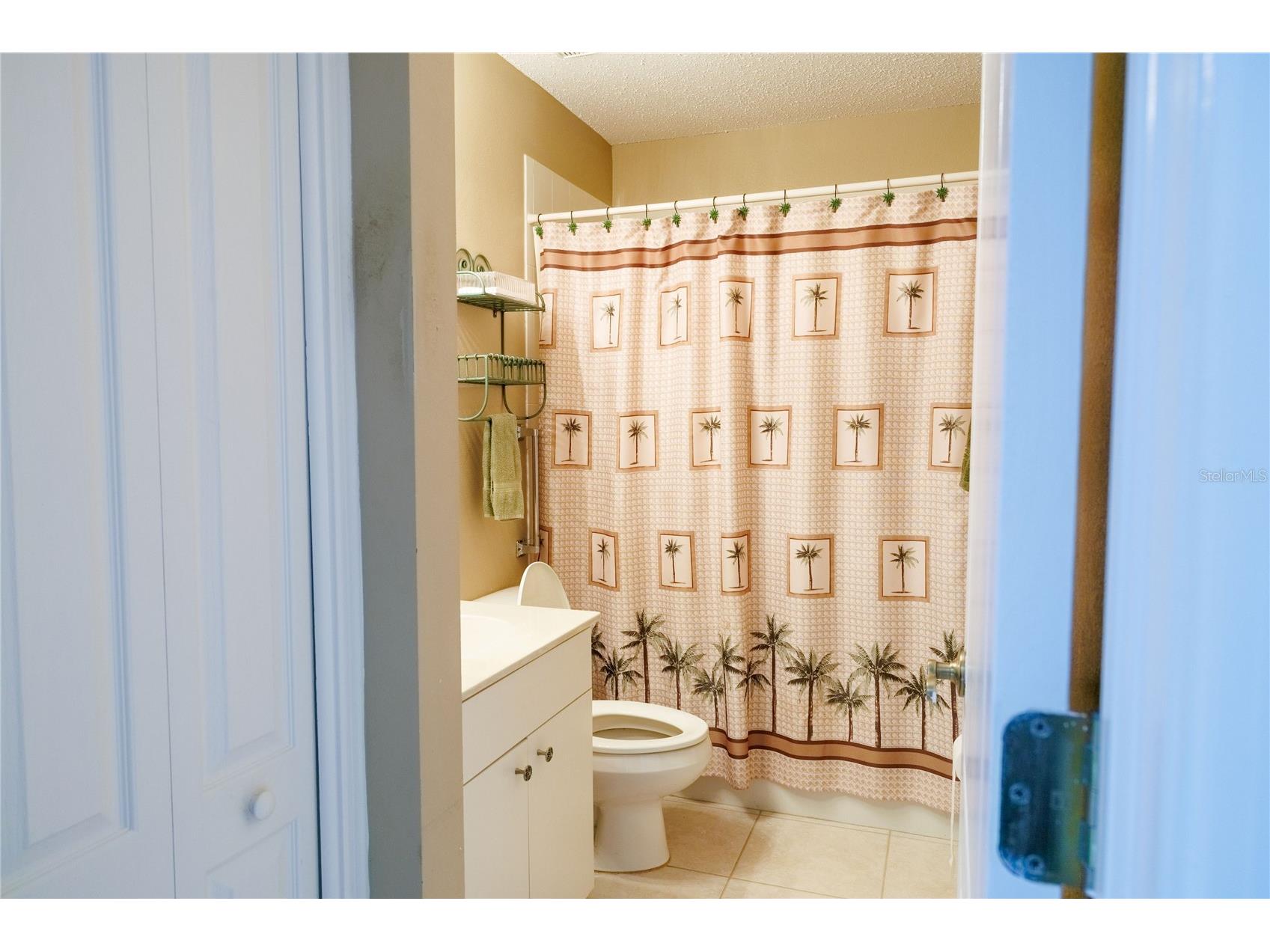 1124 Corinth Greens Drive Sun City Center FL 33573 A4698075 image21