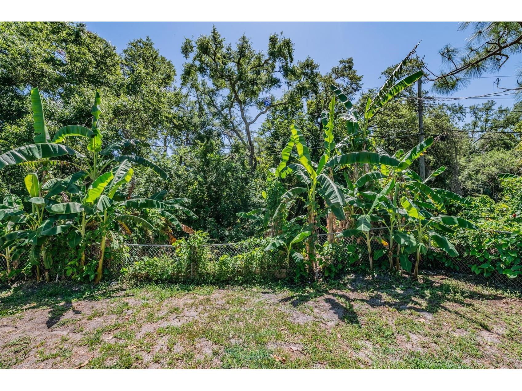 1124 Danny Drive Sarasota FL 34243 TB8500717 image36