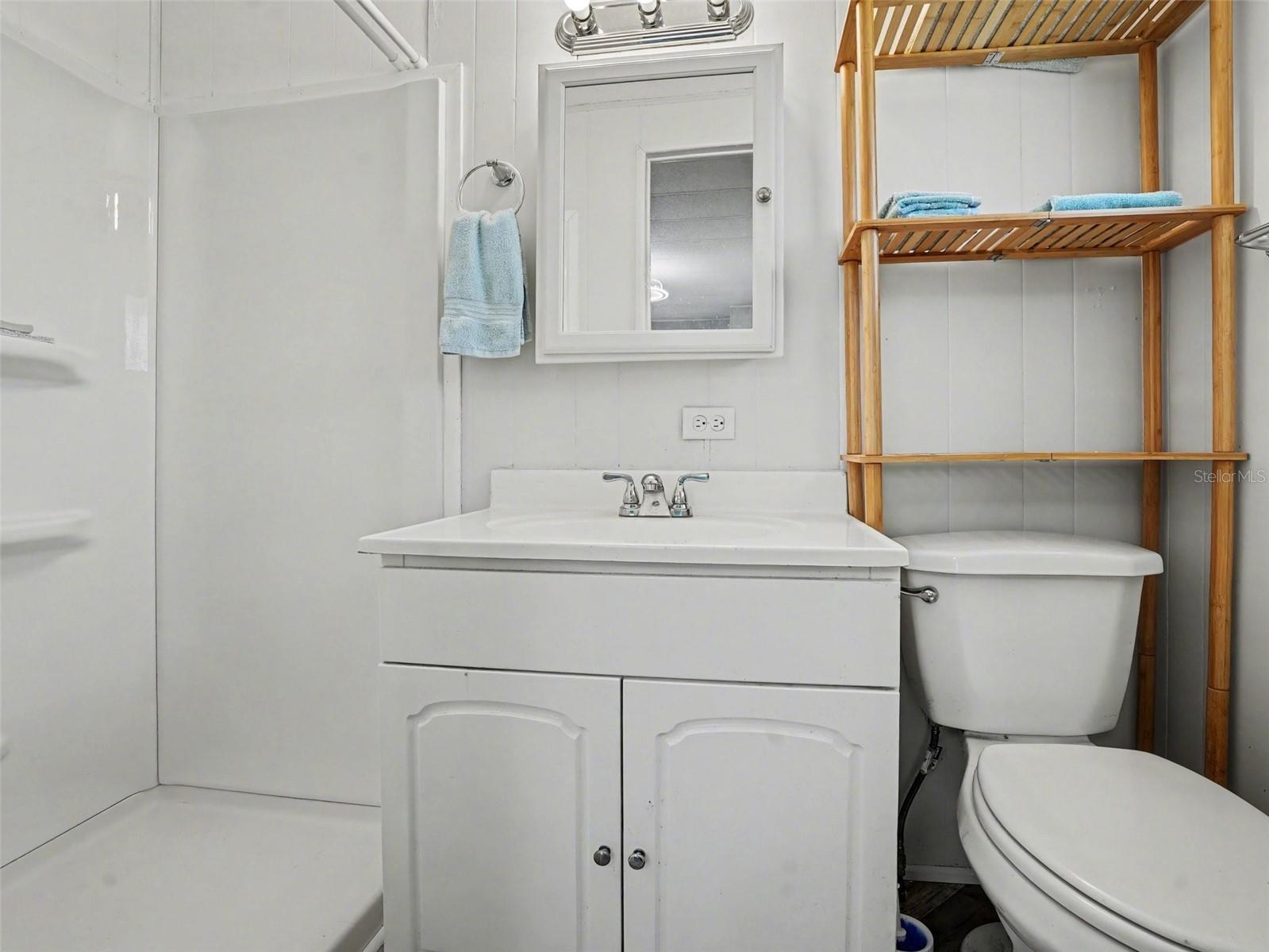 1124 Forest Lane Tavares FL 32778 O6393722 image19