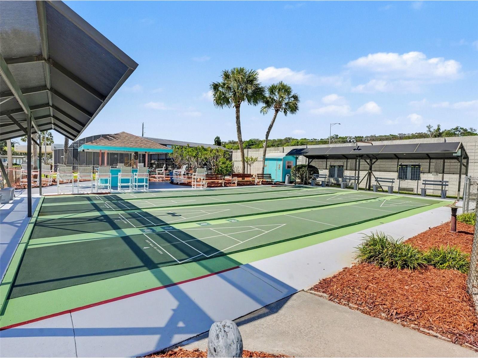 1124 Forest Lane Tavares FL 32778 O6393722 image31