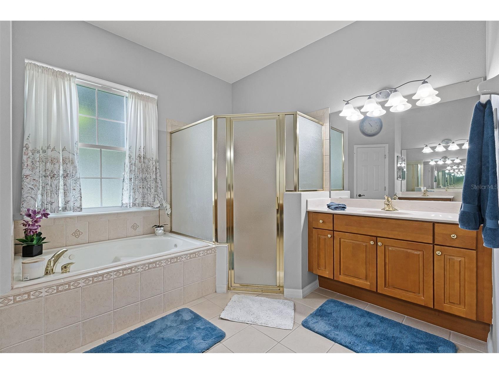 1124 Hidden Bluff Clermont FL 34711 O6378849 image16