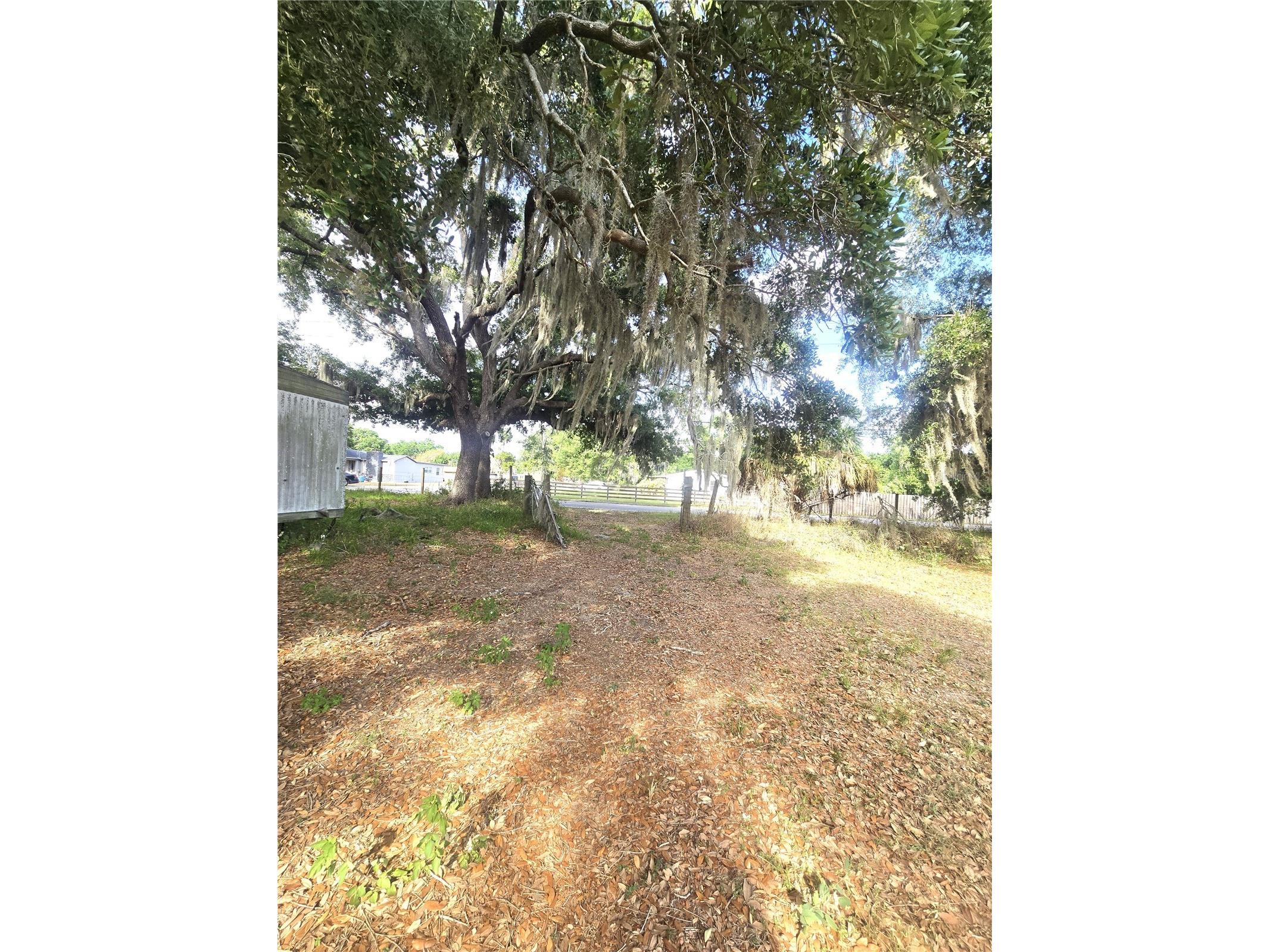 1124 Jerry Smith Road Dover FL 33527 TB8510628 image17