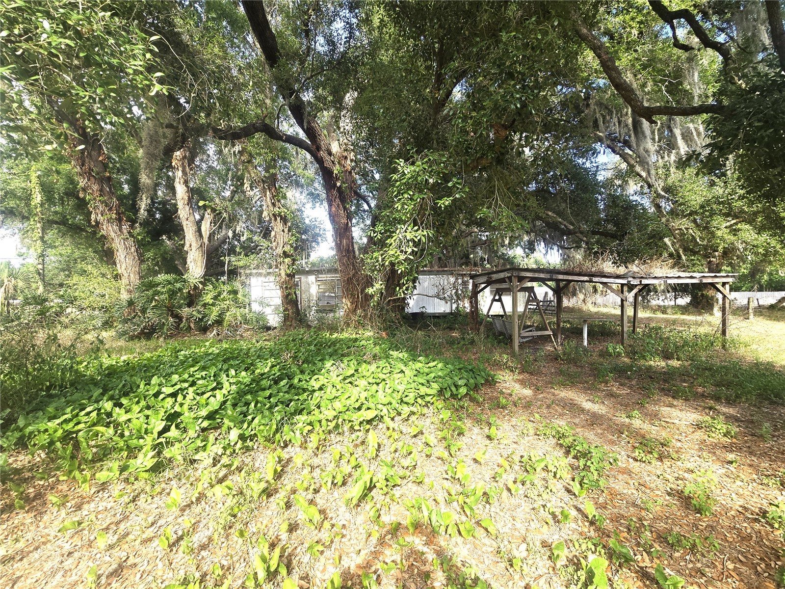 1124 Jerry Smith Road Dover FL 33527 TB8510628 image18