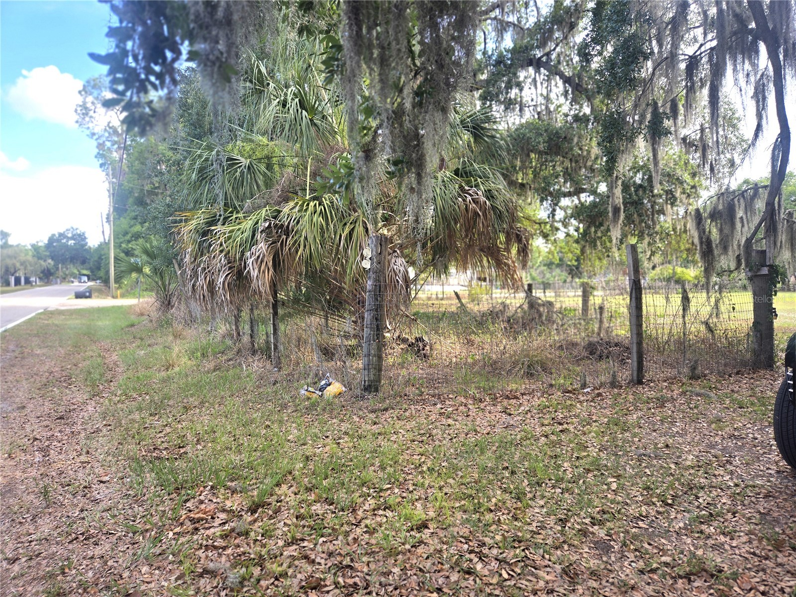 1124 Jerry Smith Road Dover FL 33527 TB8510628 image19