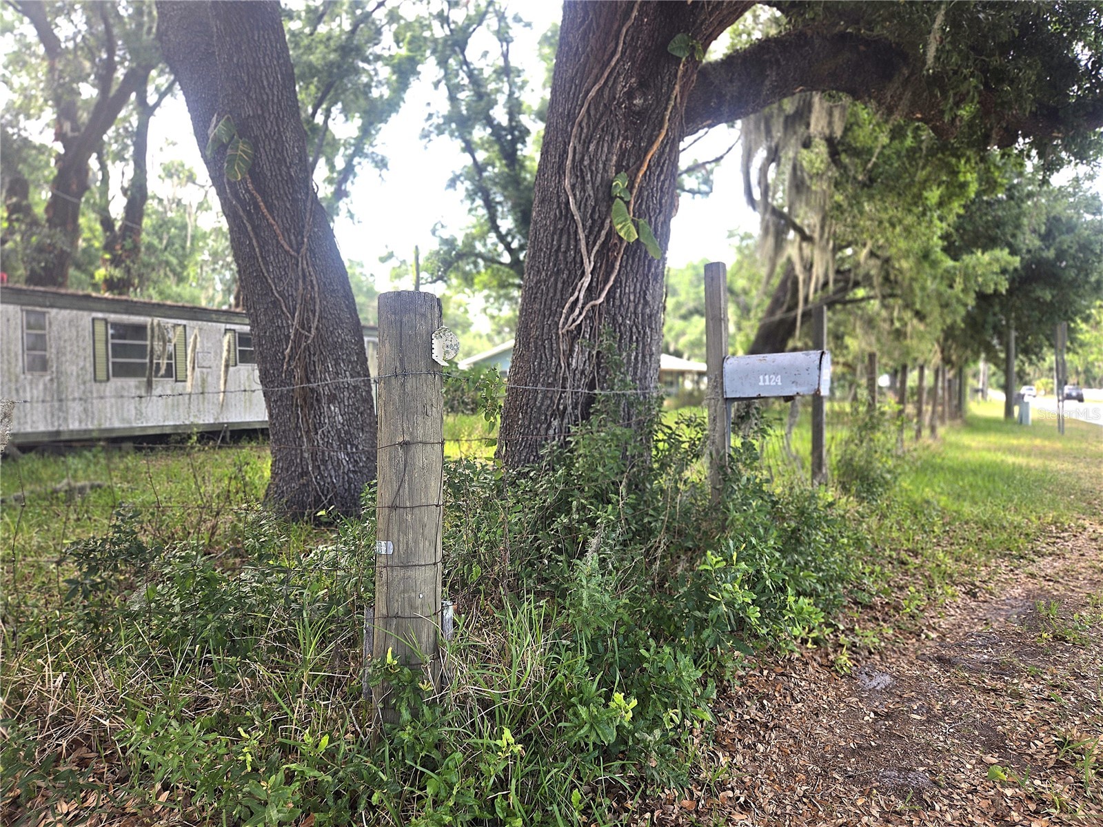 1124 Jerry Smith Road Dover FL 33527 TB8510628 image3
