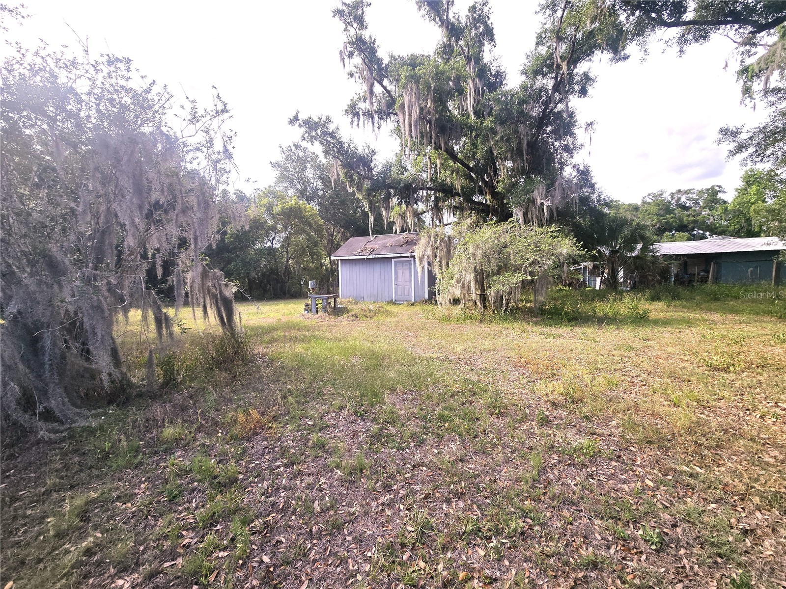1124 Jerry Smith Road Dover FL 33527 TB8510628 image9