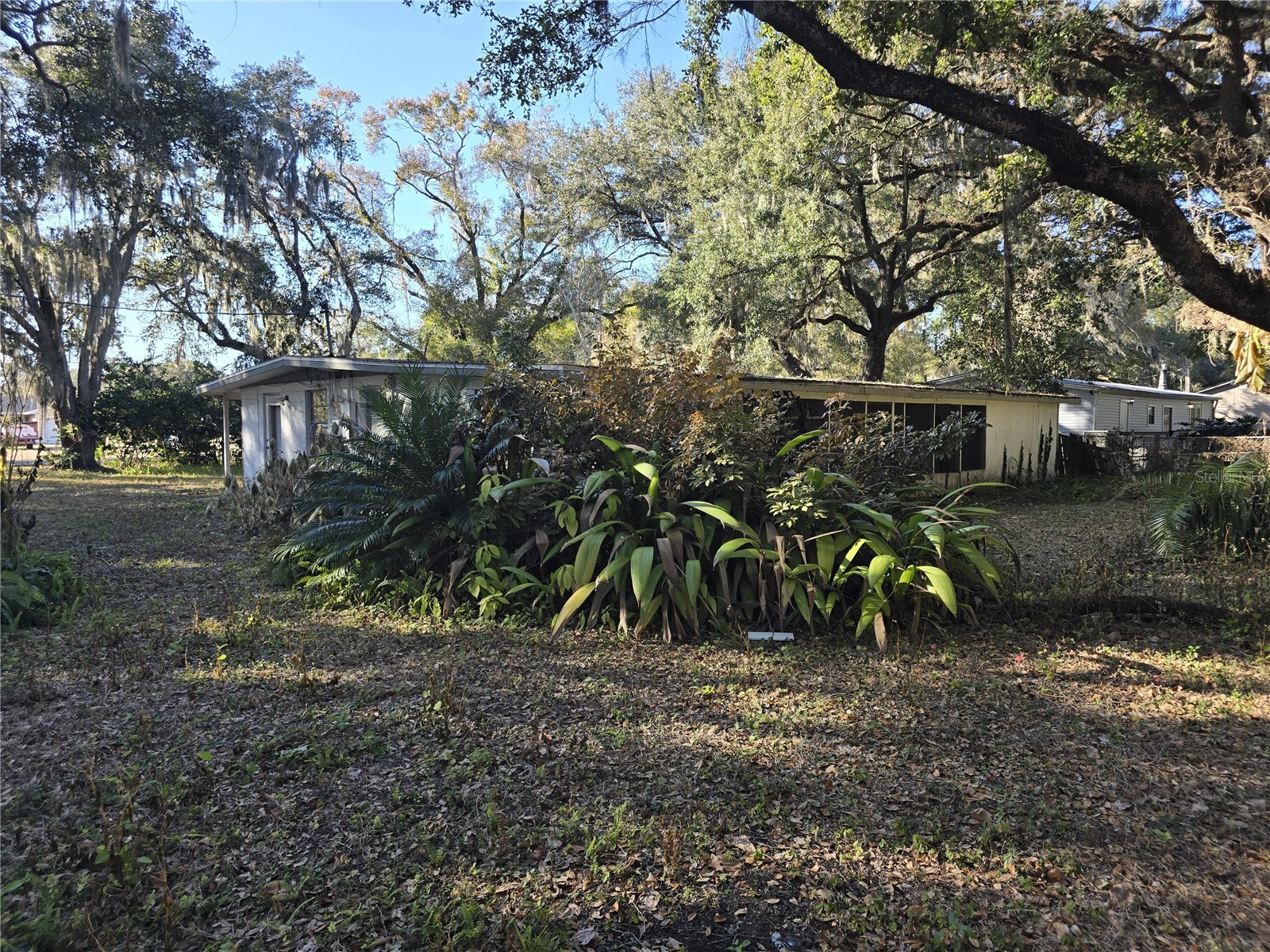 1124 S Wiggins Road Plant City FL 33566 P4937871 image4