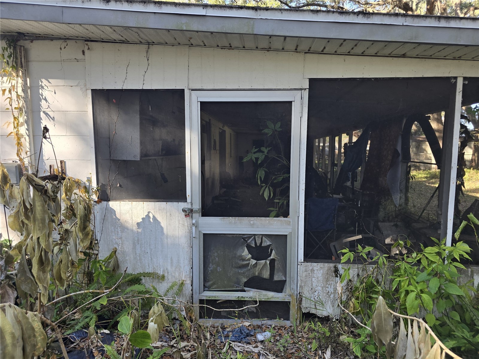 1124 S Wiggins Road Plant City FL 33566 P4937871 image5