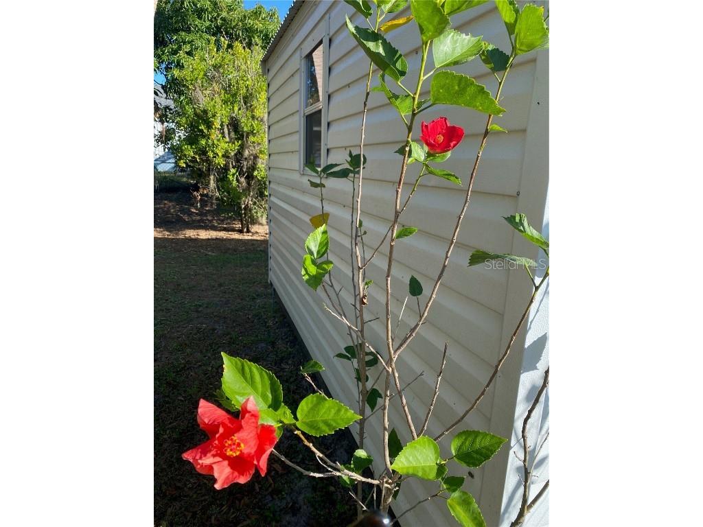 1124 Salina Avenue Port Charlotte FL 33948 C7513570 image31