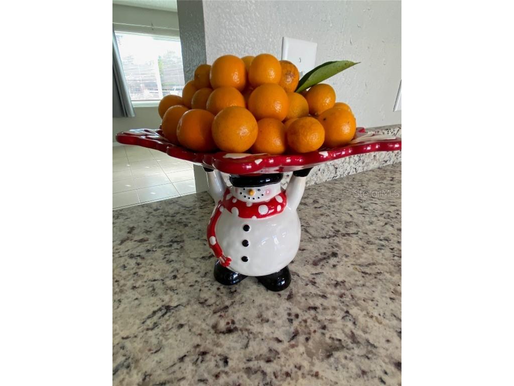 1124 Salina Avenue Port Charlotte FL 33948 C7513570 image9