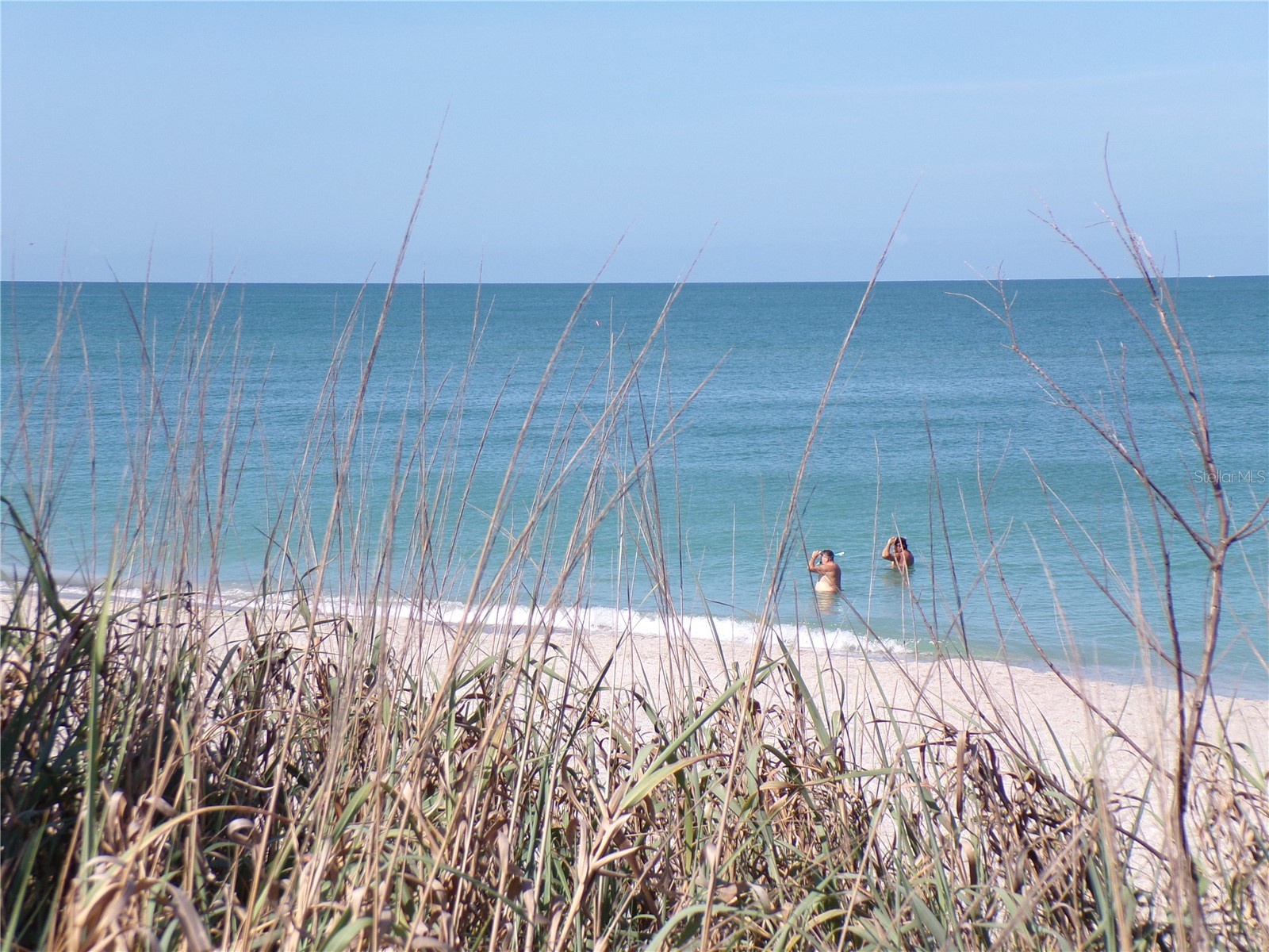 1124 Sunset Drive Venice FL 34285 N6144699 image25