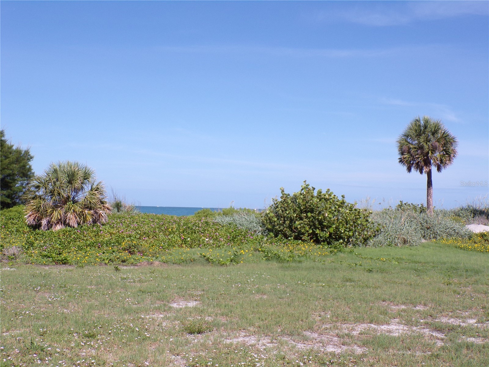 1124 Sunset Drive Venice FL 34285 N6144699 image29