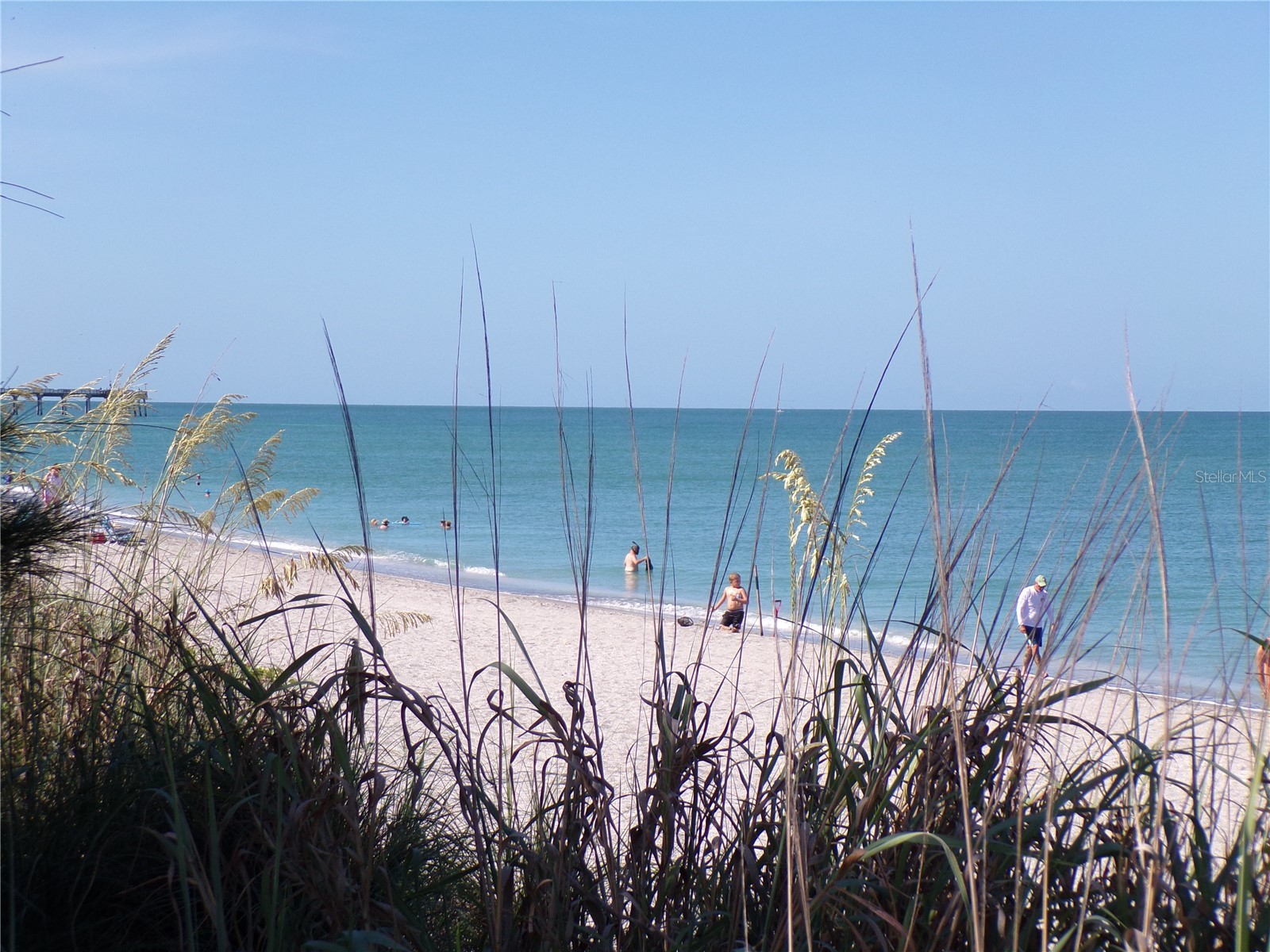 1124 Sunset Drive Venice FL 34285 N6144699 image4
