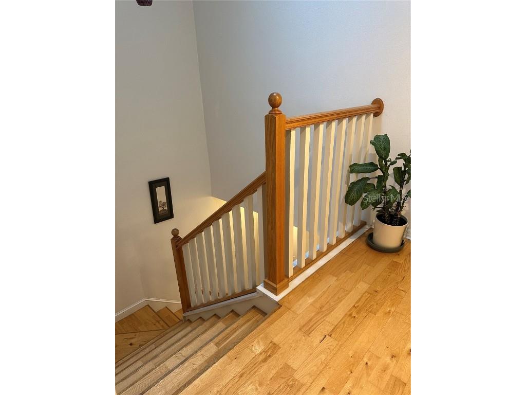 1124 Sunset Point Road #302 Clearwater FL 33755 TB8405621 image26