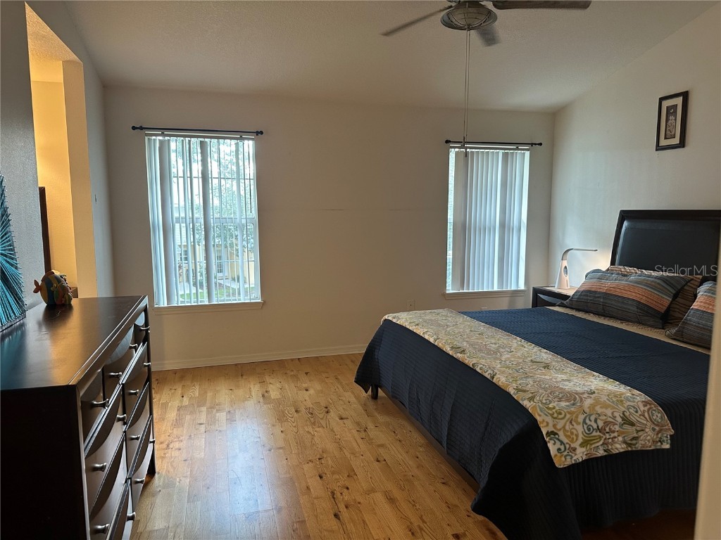 1124 Sunset Point Road #302 Clearwater FL 33755 TB8405621 image28