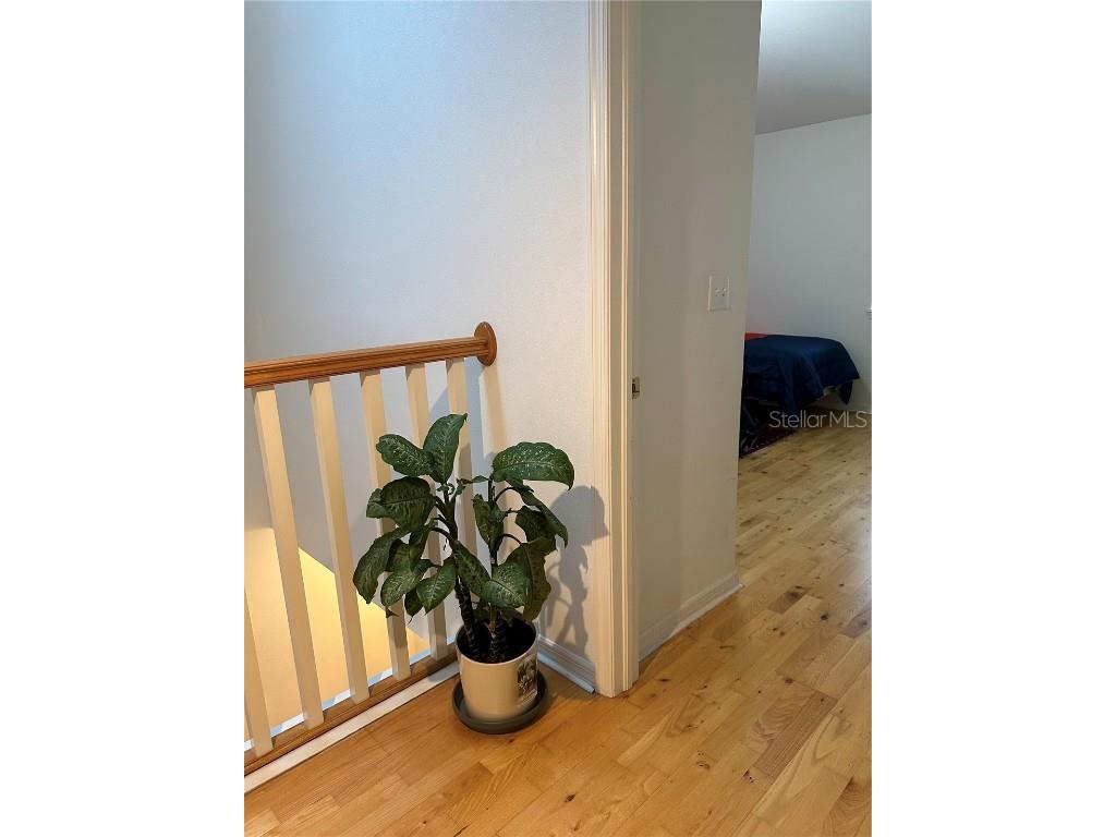 1124 Sunset Point Road #302 Clearwater FL 33755 TB8405621 image35