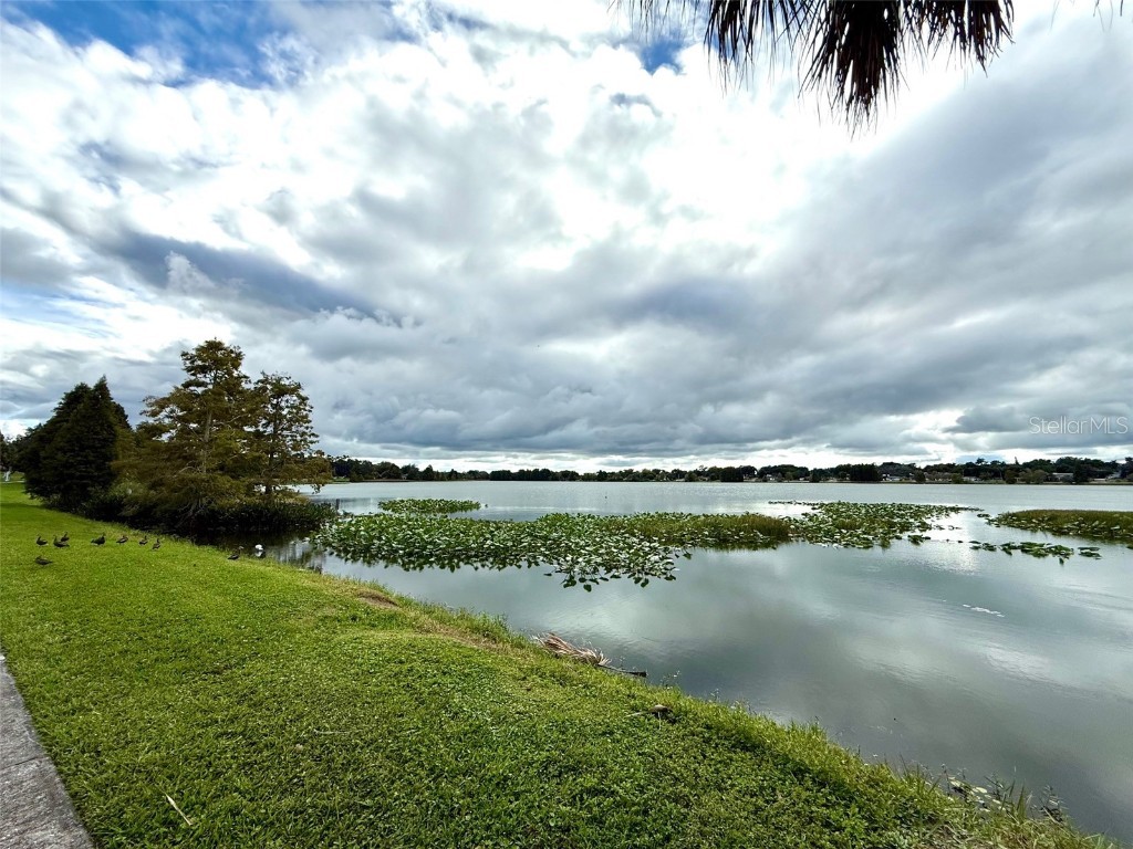 1124 Unitah Avenue Lakeland FL 33803 - LAKE HUNTER TB8434834 image19