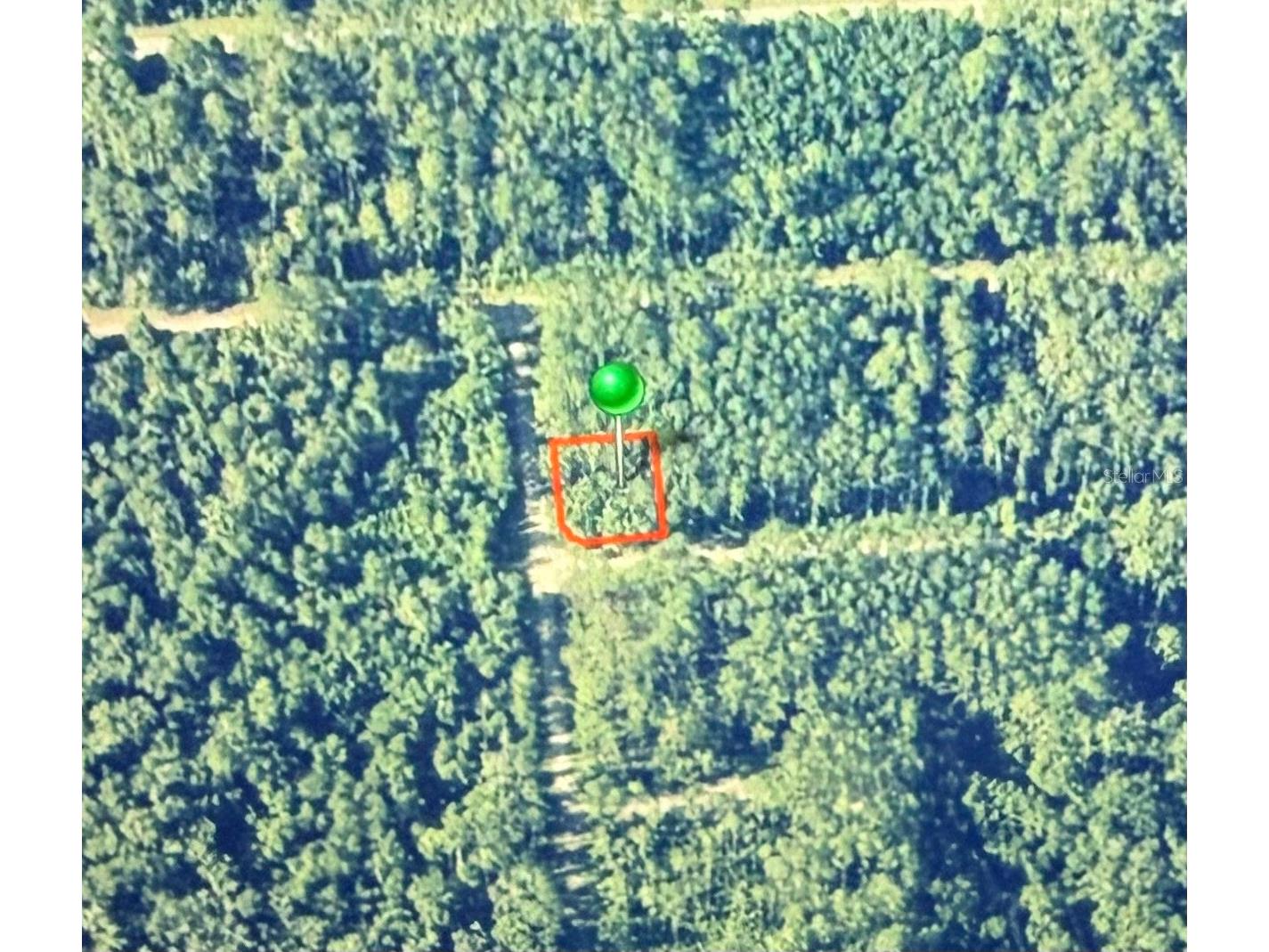 1124 Vercelli Lane Citrus Springs FL 34434 OM726619 image2