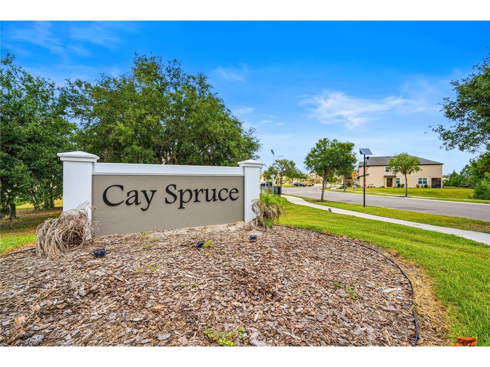 11240 Cay Spruce Way San Antonio FL 33576 TB8506263 image30