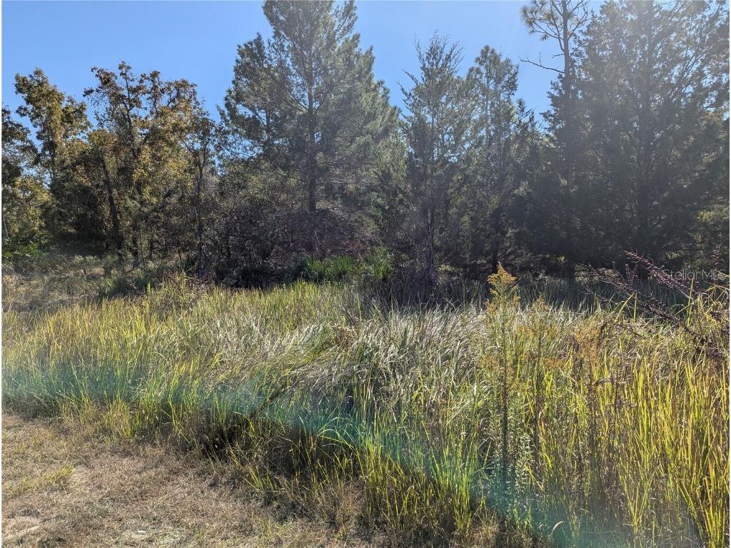 11240 Fool Duck Avenue Weeki Wachee FL 34613 TB8448732 image1