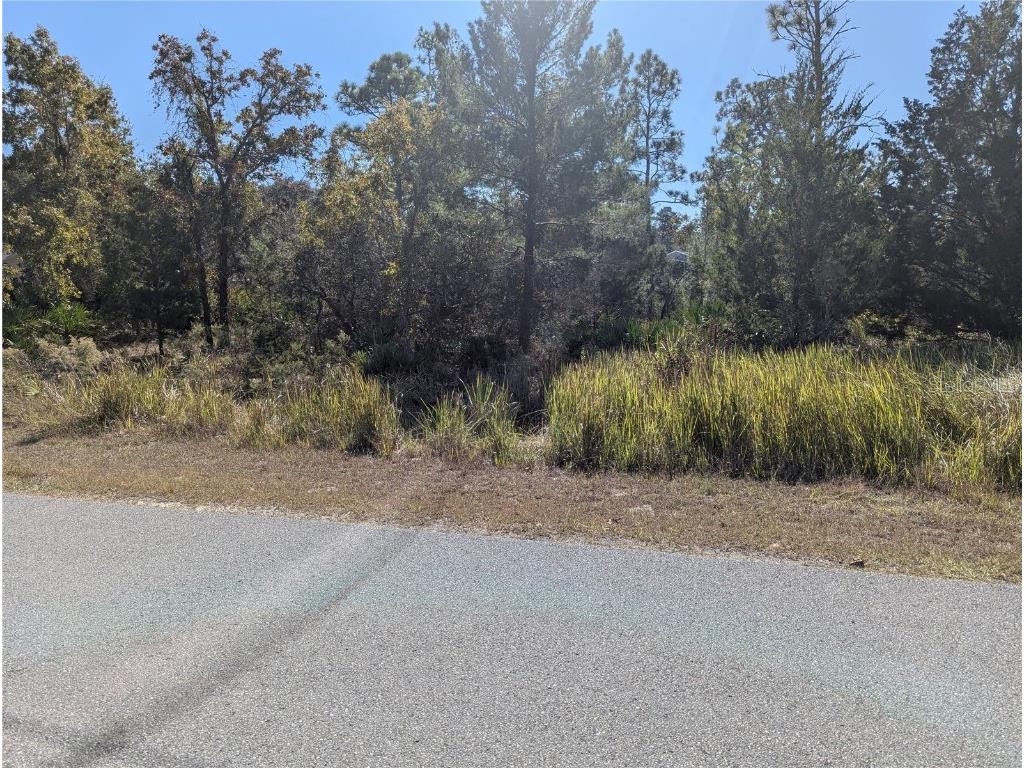 11240 Fool Duck Avenue Weeki Wachee FL 34613 TB8448732 image2