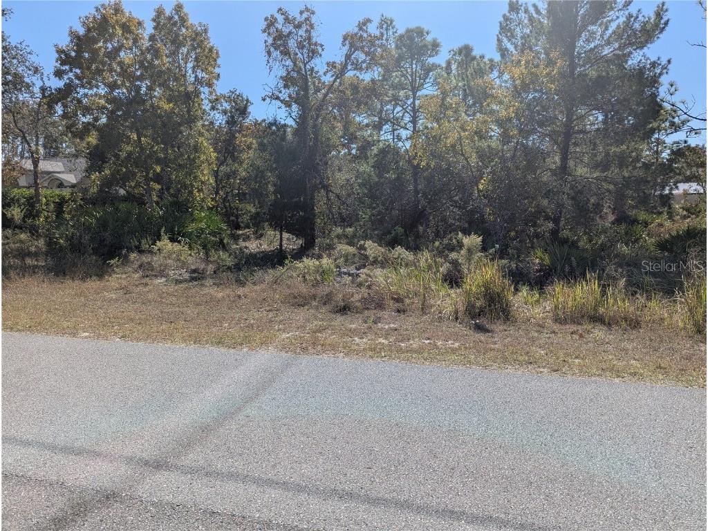 11240 Fool Duck Avenue Weeki Wachee FL 34613 TB8448732 image3