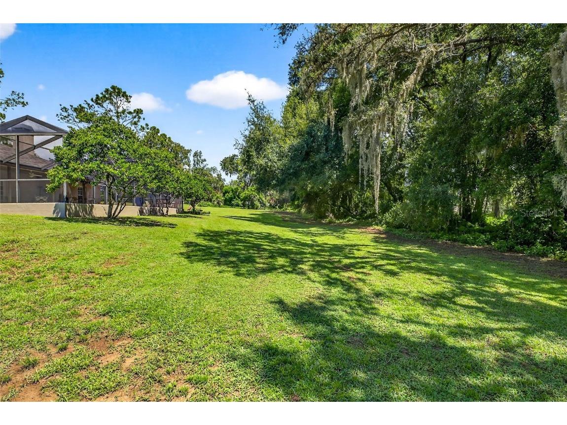 11240 Grandview Dr Dade City FL 33525 TB8420919 image58