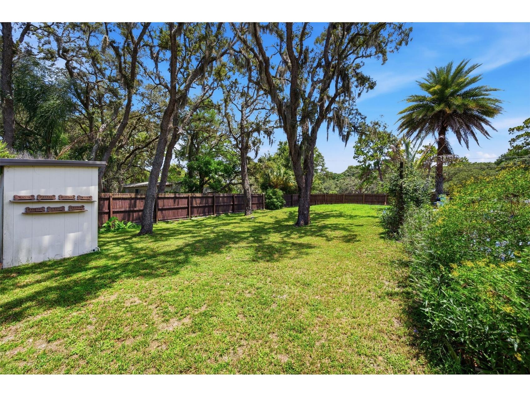 11240 Marquerite Avenue New Port Richey FL 34654 TB8530856 image30