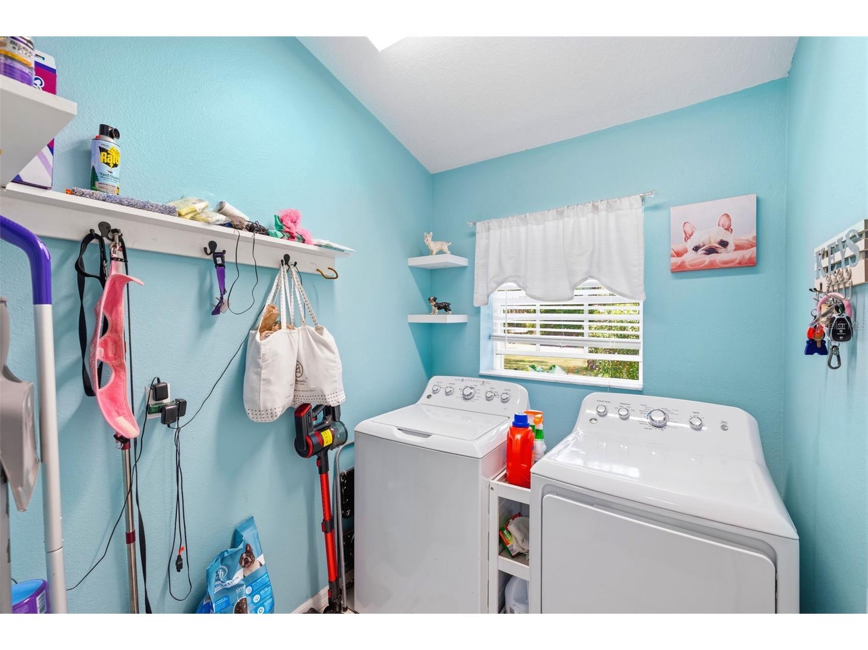 11240 Marquerite Avenue New Port Richey FL 34654 TB8530856 image35